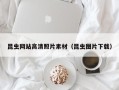 临夏昆虫网站高清照片素材（昆虫图片下载）